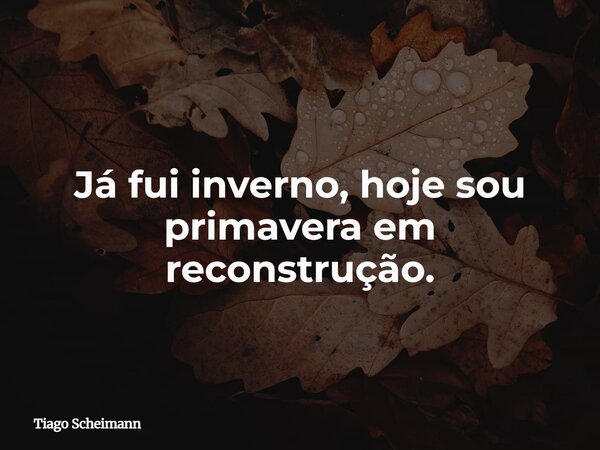 Já fui inverno, hoje sou primavera em reconstrução.... Frase de Tiago Scheimann.