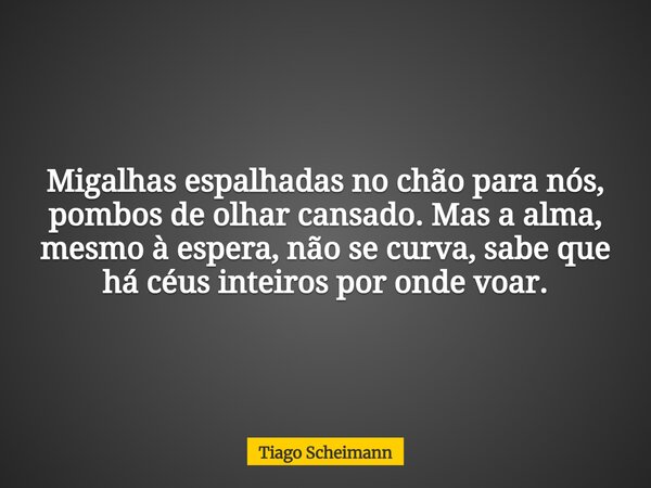 Migalhas espalhadas no chão para nós, pombos de olhar cansado. Mas a alma, mesmo à espera, não se curva, sabe que há céus inteiros por onde voar.... Frase de Tiago Scheimann.