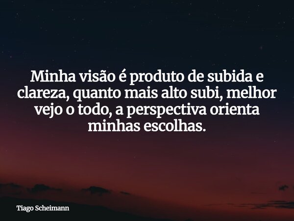 Minha visão é produto de subida e clareza, quanto mais alto subi, melhor vejo o todo, a perspectiva orienta minhas escolhas.... Frase de Tiago Scheimann.