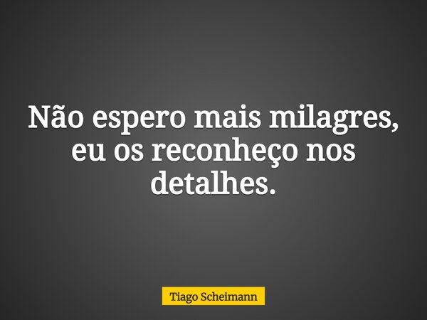 Não espero mais milagres, eu os reconheço nos detalhes.... Frase de Tiago Scheimann.