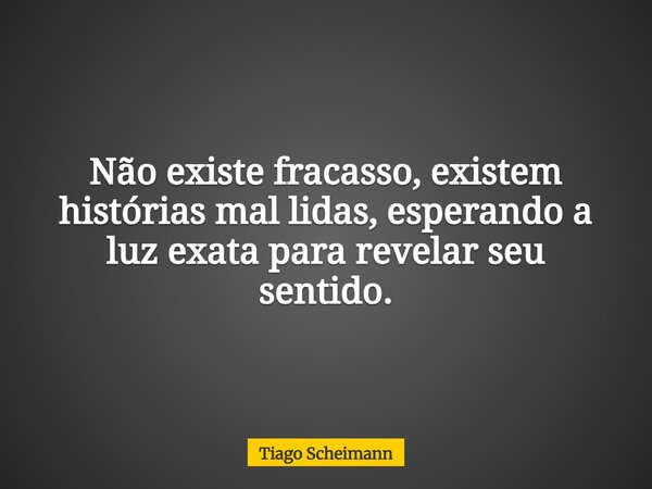 Não existe fracasso, existem histórias mal lidas, esperando a luz exata para revelar seu sentido.... Frase de Tiago Scheimann.