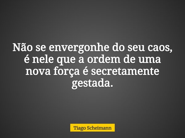 Não se envergonhe do seu caos, é nele que a ordem de uma nova força é secretamente gestada.... Frase de Tiago Scheimann.
