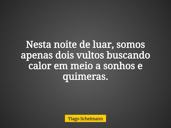 Nesta noite de luar, somos apenas dois vultos buscando calor em meio a sonhos e quimeras.... Frase de Tiago Scheimann.