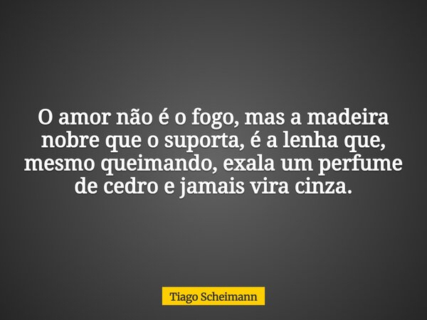 O amor não é o fogo, mas a madeira nobre que o suporta, é a lenha que, mesmo queimando, exala um perfume de cedro e jamais vira cinza.... Frase de Tiago Scheimann.