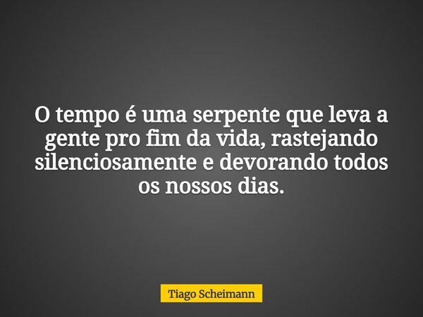 O tempo é uma serpente que leva a gente pro fim da vida, rastejando silenciosamente e devorando todos os nossos dias.... Frase de Tiago Scheimann.
