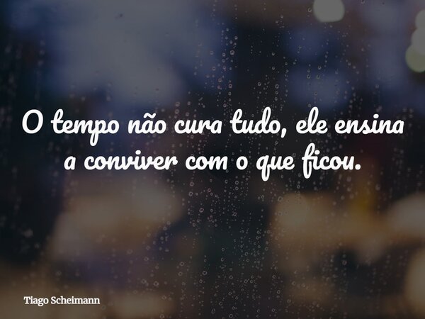 O tempo não cura tudo, ele ensina a conviver com o que ficou.... Frase de Tiago Scheimann.
