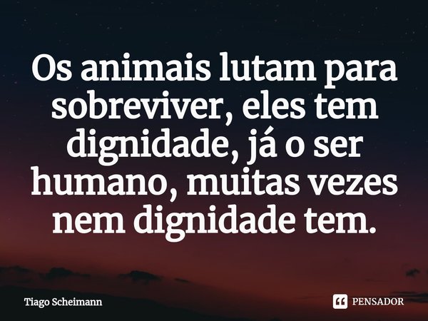 Os animais lutam para sobreviver, eles tem dignidade, já oser humano, muitas vezes nem dignidade tem.... Frase de Tiago Scheimann.
