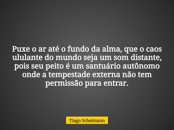 Puxe o ar até o fundo da alma, que o caos ululante do mundo seja um som distante, pois seu peito é um santuário autônomo onde a tempestade externa não tem permi... Frase de Tiago Scheimann.