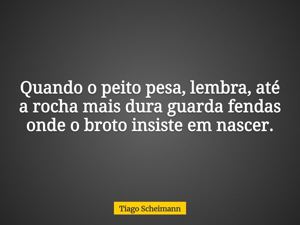 Quando o peito pesa, lembra, até a rocha mais dura guarda fendas onde o broto insiste em nascer.... Frase de Tiago Scheimann.