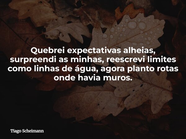 Quebrei expectativas alheias, surpreendi as minhas, reescrevi limites como linhas de água, agora planto rotas onde havia muros.... Frase de Tiago Scheimann.