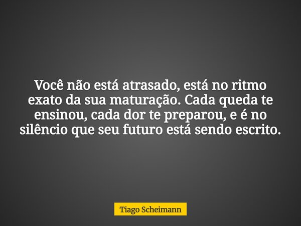 Você não está atrasado, está no ritmo exato da sua maturação. Cada queda te ensinou, cada dor te preparou, e é no silêncio que seu futuro está sendo escrito.... Frase de Tiago Scheimann.