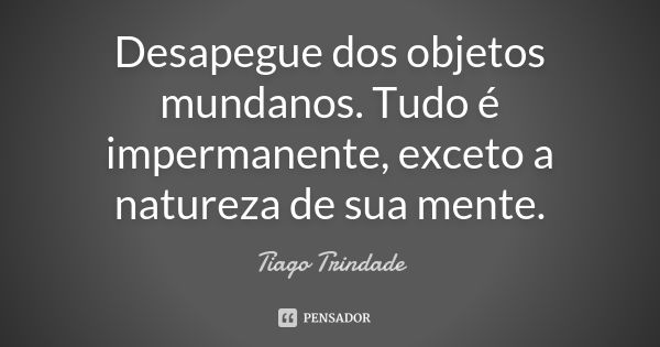 Desapegue dos objetos mundanos. Tudo é impermanente, exceto a natureza de sua mente.... Frase de Tiago Trindade.