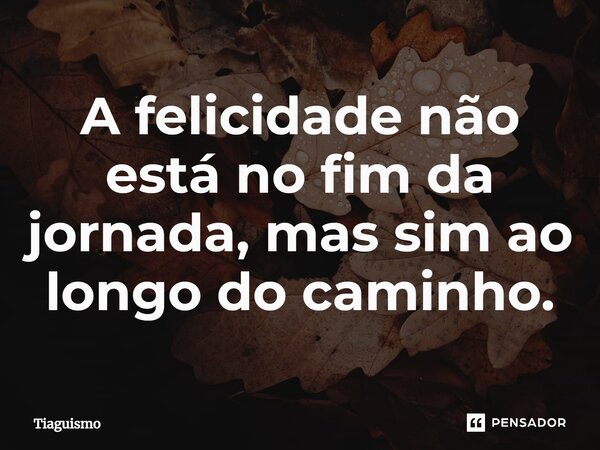 ⁠A felicidade não está no fim da jornada, mas sim ao longo do caminho.... Frase de Tiaguismo.