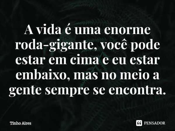 A vida é uma enorme roda-gigante, você pode estar em cima e eu estar embaixo, mas no meio a gente sempre se encontra.... Frase de Tinho Aires.