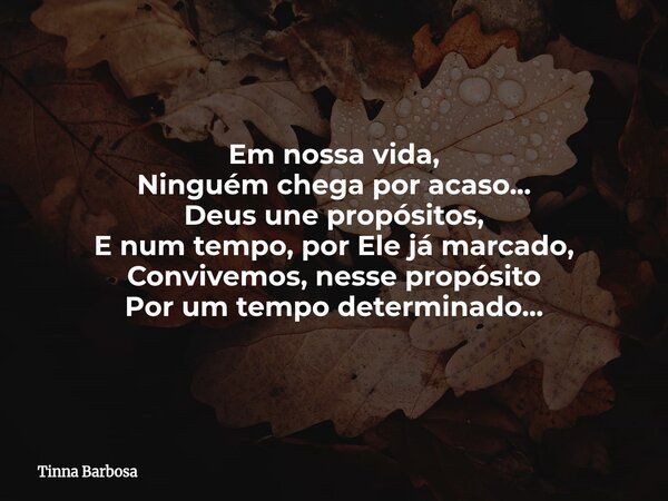 Em nossa vida, Ninguém chega por acaso... Deus une propósitos, E num tempo, por Ele já marcado, Convivemos, nesse propósito Por um tempo determinado...... Frase de Tinna Barbosa.