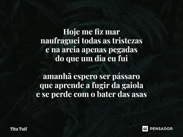 ⁠Hoje me fiz mar naufraguei todas as tristezas e na areia apenas pegadas do que um dia eu fui amanhã espero ser pássaro que aprende a fugir da gaiola e se perde... Frase de Tita Tuif.