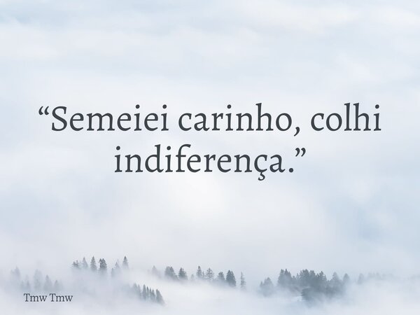 “Semeiei carinho, colhi indiferença.”... Frase de Tmw Tmw.
