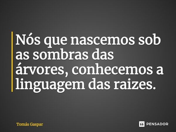 ⁠Nós que nascemos sob as sombras das árvores, conhecemos a linguagem das raizes.... Frase de Tomás Gaspar.