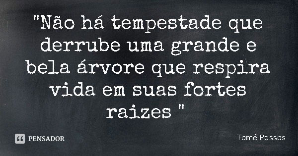 "Não há tempestade que derrube uma grande e bela árvore que respira vida em suas fortes raízes "... Frase de Tomé Passos.
