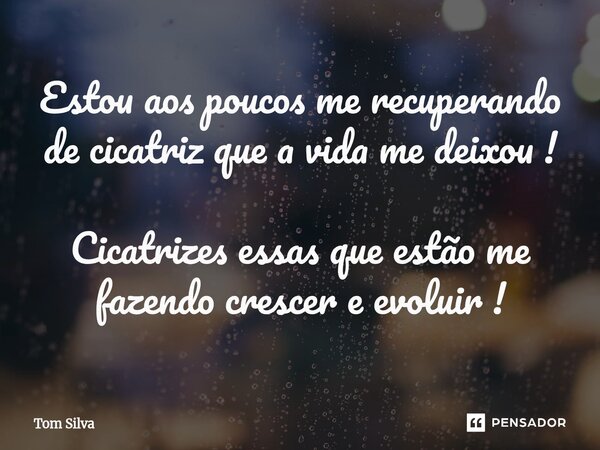 ⁠Estou aos poucos me recuperando de cicatriz que a vida me deixou ! Cicatrizes essas que estão me fazendo crescer e evoluir !... Frase de Tom silva.