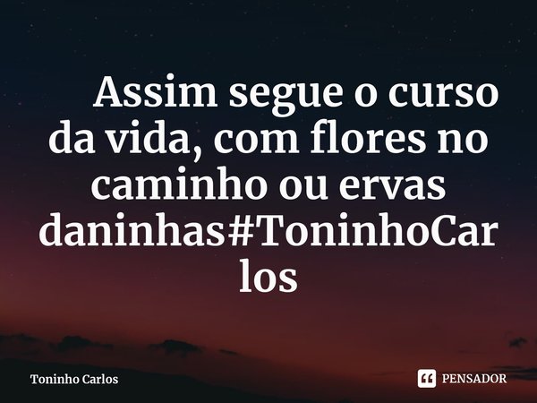 ⁠ Assim segue o curso da vida, com flores no caminho ou ervas daninhas#ToninhoCarlos... Frase de Toninho Carlos.