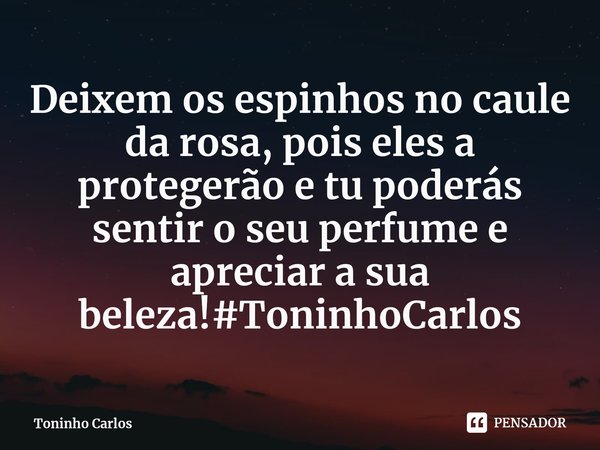 ⁠ Deixem os espinhos no caule da rosa, pois eles a protegerão e tu poderás sentir o seu perfume e apreciar a sua beleza!#ToninhoCarlos... Frase de Toninho Carlos.
