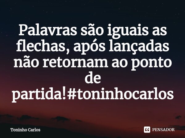 ⁠ Palavras são iguais as flechas, após lançadas não retornam ao ponto de partida!#toninhocarlos... Frase de Toninho Carlos.