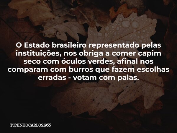 O Estado brasileiro representado pelas instituições, nos obriga a comer capim seco com óculos verdes, afinal nos comparam com burros que fazem escolhas erradas ... Frase de TONINHOCARLOS1955.