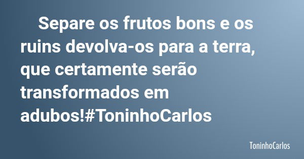 Separe os frutos bons e os ruins devolva-os para a terra, que certamente serão transformados em adubos!#ToninhoCarlos... Frase de ToninhoCarlos.
