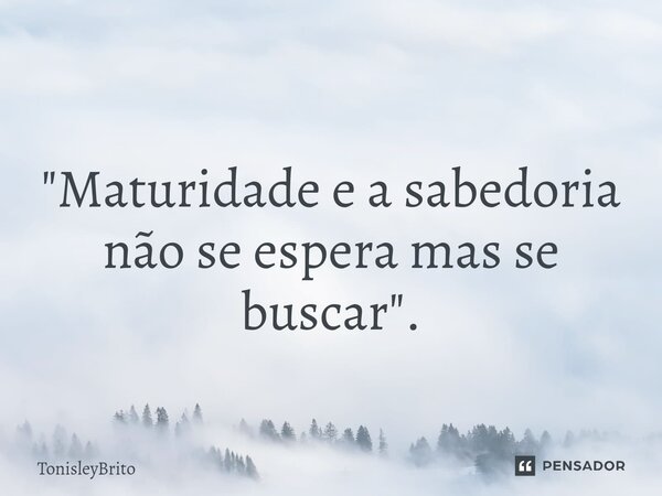 ⁠"Maturidade e a sabedoria não se espera mas se buscar".... Frase de TonisleyBrito.