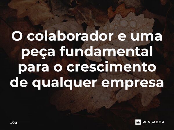 O co⁠laborador e uma peça fundamental para o crescimento de qualquer empresa... Frase de ton.