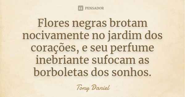 Flores negras brotam nocivamente no jardim dos corações, e seu perfume inebriante sufocam as borboletas dos sonhos.... Frase de Tony Daniel.