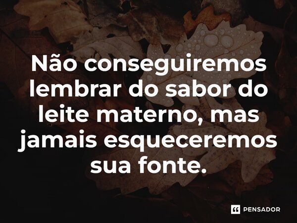 ⁠Não conseguiremos lembrar do sabor do leite materno, mas jamais esqueceremos sua fonte.... Frase de Tony Nelson Magule.