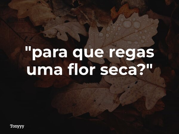 ⁠"para que regas uma flor seca?"... Frase de Tonyyy.