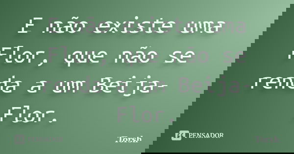E não existe uma Flor, que não se renda a um Beija-Flor.... Frase de Torsh.