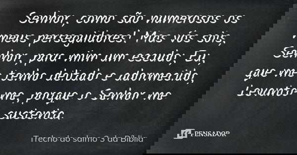 Senhor, como são numerosos os meus perseguidores! Mas vós sois, Senhor, para mim um escudo; Eu, que me tenho deitado e adormecido, Levanto-me, porque o Senhor m... Frase de Trecho do salmo 3 da Bíblia.
