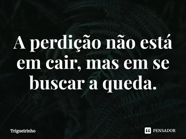 ⁠A perdição não está em cair, mas em se buscar a queda.... Frase de Trigueirinho.