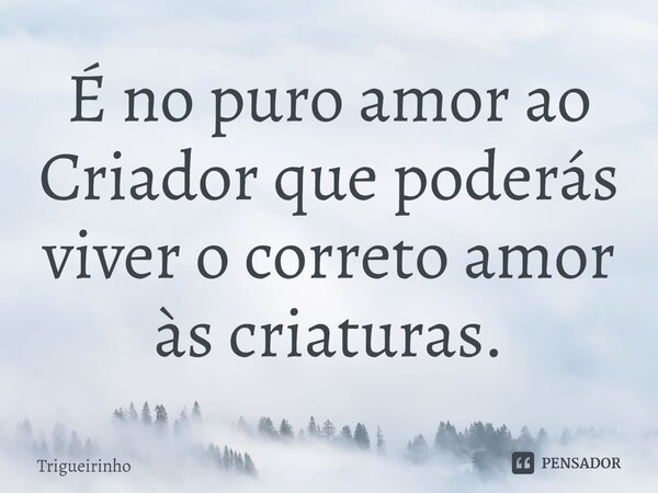 ⁠É no puro amor ao Criador que poderás viver o correto amor às criaturas.... Frase de Trigueirinho.