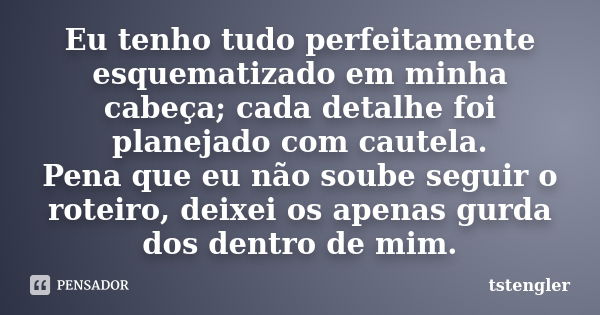 Eu tenho tudo perfeitamente esquematizado em minha cabeça; cada detalhe foi planejado com cautela. Pena que eu não soube seguir o roteiro, deixei os apenas gurd... Frase de tstengler.