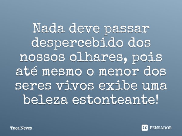 ⁠Nada deve passar despercebido dos nossos olhares, pois até mesmo o menor dos seres vivos exibe uma beleza estonteante!... Frase de Tuca Neves.