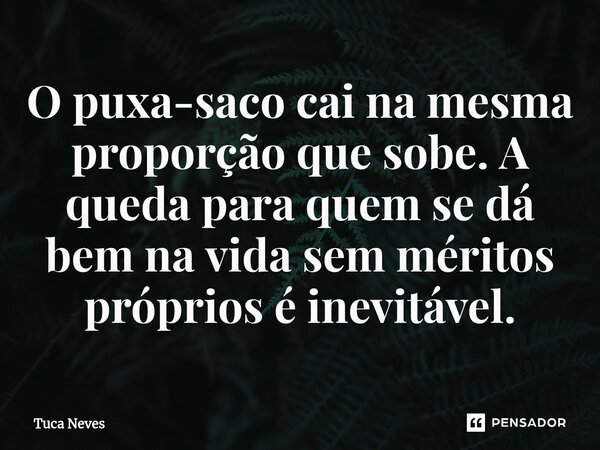 ⁠O puxa-saco cai na mesma proporção que sobe. A queda para quem se dá bem na vida sem méritos próprios é inevitável.... Frase de Tuca Neves.