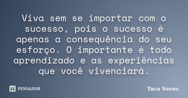 Viva sem se importar com o sucesso, pois o sucesso é apenas a consequência do seu esforço. O importante é todo aprendizado e as experiências que você vivenciará... Frase de Tuca Neves.