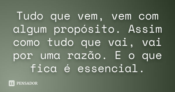 Tudo que vem, vem com algum propósito. Assim como tudo que vai, vai por uma razão. E o que fica é essencial.