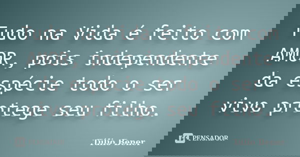 Tudo na Vida é feito com AMOR, pois independente da espécie todo o ser vivo protege seu filho.... Frase de Túlio Bener.