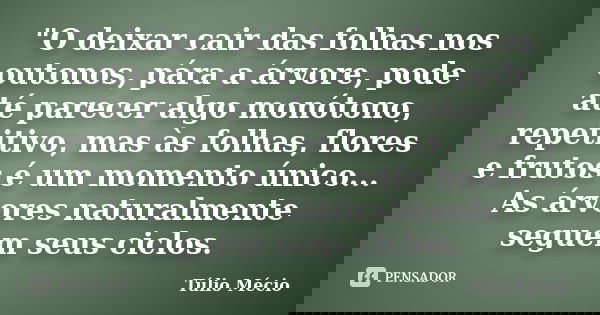 "O deixar cair das folhas nos outonos, pára a árvore, pode até parecer algo monótono, repetitivo, mas às folhas, flores e frutos é um momento único... As á... Frase de Túlio Mécio.
