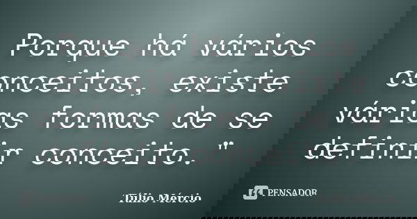 Porque há vários conceitos, existe várias formas de se definir conceito."... Frase de Túlio Mércio.