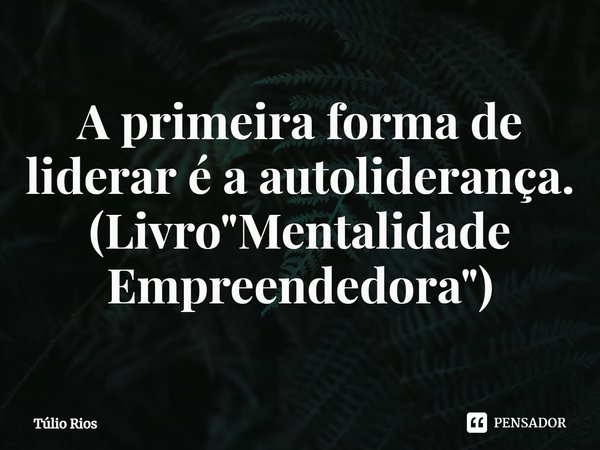 ⁠A primeira forma de liderar é a autoliderança. (Livro "Mentalidade Empreendedora")... Frase de Túlio Rios.