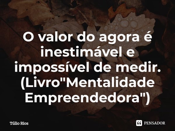O valor do agora é inestimável e impossível de medir. (Livro "Mentalidade Empreendedora")... Frase de Túlio Rios.