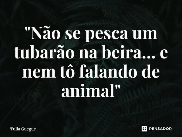 ⁠"Não se pesca um tubarão na beira… e nem tô falando de animal"... Frase de tulla guegue.