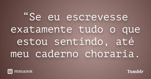 “Se eu escrevesse exatamente tudo o que estou sentindo, até meu caderno choraria.... Frase de Tumblr.